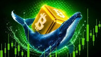 توقعات سعر البيتكوين: الستون يوماً القادمة قد تحدد قاع السوق في 2026