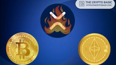 XRP وبيتكوين وإيثريوم تسجل 47 مليار دولار حجم تداول، الأعلى منذ يونيو مع عودة BTC إلى 72 ألف دولار