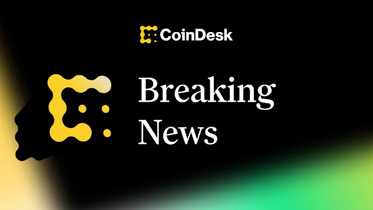 بيتكوين يتجاوز 80,000 دولار لأول مرة منذ مايو مع تسارع تعافي العملات الرقمية