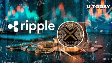 محامي: XRP يلتزم بالفعل بقواعد قانون الوضوح