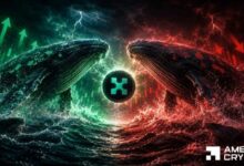سعر كايتو ينخفض – هل يمنع شراء الحيتان الهبوط دون 0.60 دولار؟