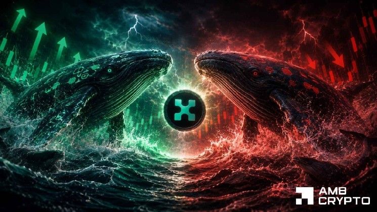 سعر كايتو ينخفض – هل يمنع شراء الحيتان الهبوط دون 0.60 دولار؟