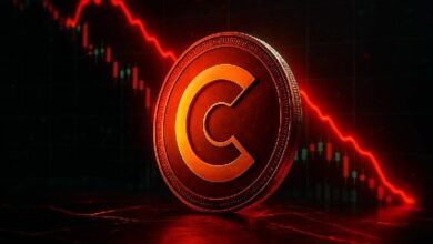 أسهم “سيركل” تتراجع نحو 7% رغم حصولها على ترخيص الثقة في نيويورك