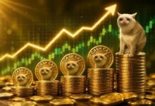 كاشكات يقفز بنحو 100% مع تجاوز إجمالي القيمة المقفلة في سلسلة روبن هود 774 مليون دولار