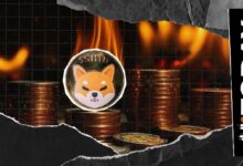 معدل حرق عملة Shiba Inu يقفز 405% مع تدمير 124,023,282 شيبا