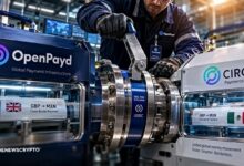 OpenPayd يدمج شبكة مدفوعات Circle لتسريع التحويلات المالية العابرة للحدود