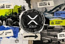 نشاط قياسي للمستخدمين وتراجع بيع الحيتان يدفعان XRP للارتفاع، فلماذا ما زال عالقًا عند دولار واحد؟