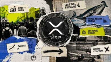 نشاط قياسي للمستخدمين وتراجع بيع الحيتان يدفعان XRP للارتفاع، فلماذا ما زال عالقًا عند دولار واحد؟