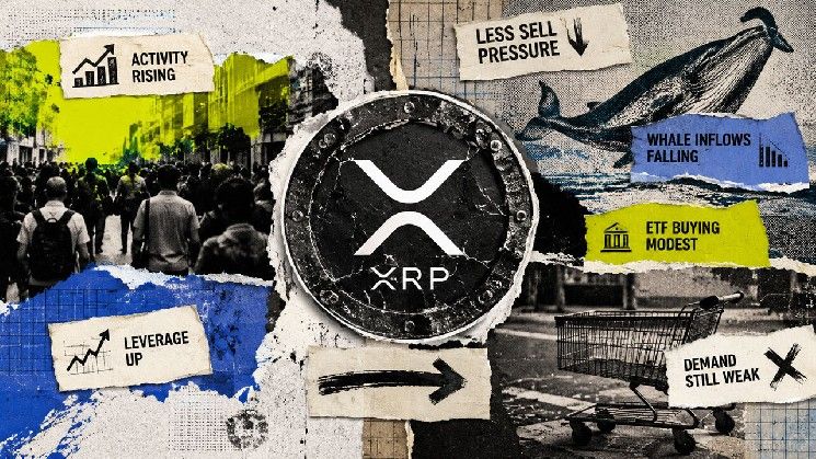 نشاط قياسي للمستخدمين وتراجع بيع الحيتان يدفعان XRP للارتفاع، فلماذا ما زال عالقًا عند دولار واحد؟