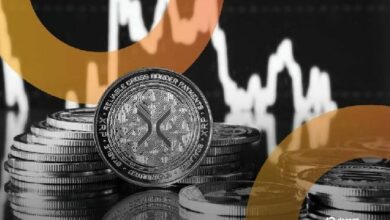 حيتان XRP والبيتكوين تتكدس—هل اقتربت نهاية السوق الهابطة؟