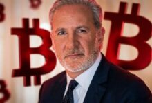 بيتر شيف المعادي للبيتكوين يعتبر انتعاش السعر الأخير فرصة للبيع