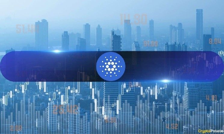 هل تبدأ مرحلة التراكم لعملة كاردانو (ADA) بعد موجة البيع؟