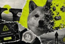 أكثر من 2 مليون DOGE عالقة في طي النسيان بينما تواصل Dogechain طباعة الكتل بعد الموعد النهائي النهائي