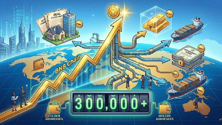 شبكة BNB تسجل أعلى مستوى تاريخي جديد مع تخطي تبنّي الأصول الحقيقية (RWA) حاجز 300 ألف حامل