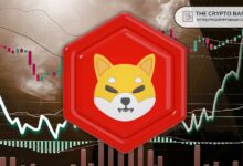 انخفاض سعر شيبا إينو بنسبة 4% يمحو 48,348,433,371 شيبا من المراكز الطويلة