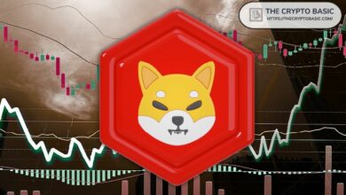 انخفاض سعر شيبا إينو بنسبة 4% يمحو 48,348,433,371 شيبا من المراكز الطويلة