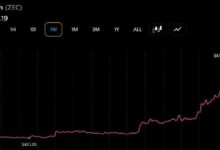 Zcash وبيتكوين كاش وكاردانو تشهد ارتفاعات قوية مع تصدر ZEC بارتفاع 47%