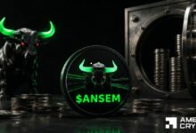حرق 2.43 مليون رمز من ANSEM – هل يستمر الزخم بدعم من طلب منصات الإطلاق؟