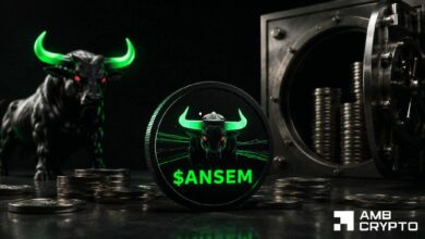 حرق 2.43 مليون رمز من ANSEM – هل يستمر الزخم بدعم من طلب منصات الإطلاق؟