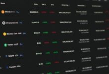 مستثمرو العملات الرقمية يتجاوزون ترتيبات القيمة السوقية ويعودون إلى الأساسيات