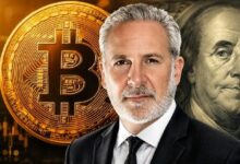 ارتفاع البيتكوين الأخير لم يقنع بيتر شيف: "الارتفاع مزيف؛ التطورات الأخيرة لا تشير إلى البيتكوين، بل إلى..."