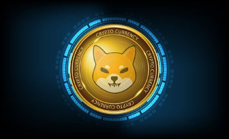 شيبا إينو (SHIB) يفقد 42% من تدفقات البورصة الخارجية: هل الانهيار أقرب؟