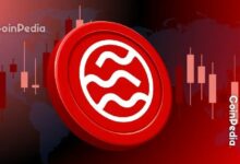 سعر SEI يختبر دعم 0.04 دولار—هل يستطيع النشاط الشبكي المتزايد إشعال شرارة انتعاش؟