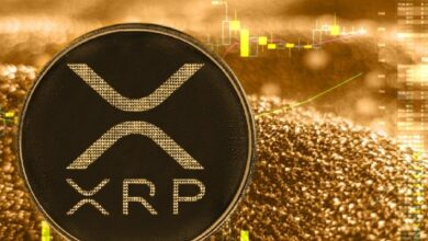 انخفاض حجم تداول XRP Ledger بنسبة 90%.. لكن هذا التراجع ليس حرجًا