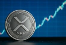 XRP تحت الهجوم: تحذير عاجل من احتيال تصيد جديد يهدد المستخدمين