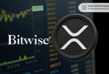 صندوق XRP المتداول يستحوذ على حصة 6% مع تسجيل منتجات Bitwise حجم تداول 300 مليون دولار