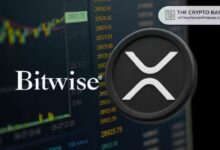 رئيس Bitwise يكشف: صندوق XRP المتداول يسجل أعلى حجم تداول منذ إطلاقه