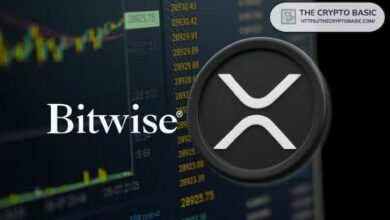 رئيس Bitwise يكشف: صندوق XRP المتداول يسجل أعلى حجم تداول منذ إطلاقه