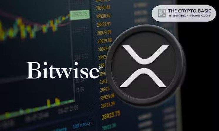رئيس Bitwise يكشف: صندوق XRP المتداول يسجل أعلى حجم تداول منذ إطلاقه