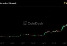 زيكاش يقفز 48% متجاوزًا 800 دولار مع دفعة غرايسكيل لصندوق التداول الفوري تعزز ضجة “البيتكوين القادم”