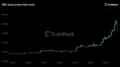 زيكاش يقفز 48% متجاوزًا 800 دولار مع دفعة غرايسكيل لصندوق التداول الفوري تعزز ضجة “البيتكوين القادم”