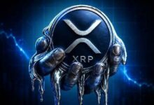 حد عتبة قائمة XRP الأثرياء يقترب من 45,000 XRP مع تجاوز السجل 8 ملايين حساب