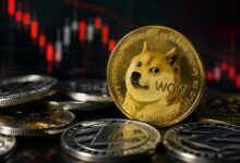 أخبار سيئة من شركة جمعت كمية كبيرة من عملة دوجكوين (DOGE)