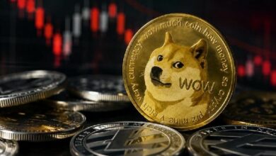 أخبار سيئة من شركة جمعت كمية كبيرة من عملة دوجكوين (DOGE)