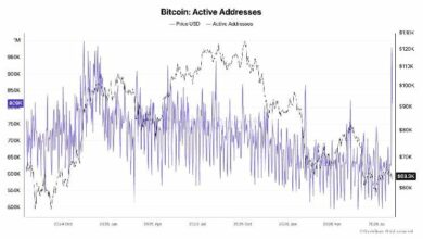 على عكس انهيار FTX، استغلال كولدكارد بـ89 مليون دولار يدفع المستثمرين لإعادة البيتكوين إلى البورصات