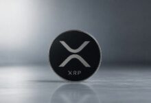 تحركات غير معتادة في نشاط الحيتان لـ XRP