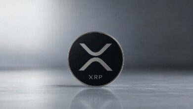 تحركات غير معتادة في نشاط الحيتان لـ XRP