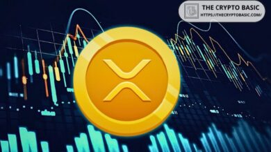 نشاط شبكة XRP يقفز 86% مع انهيار تداولات البورصات: هل تتشكل قاع السوق؟