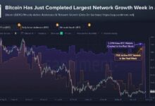 ارتفاع محافظ البيتكوين لأعلى مستوى منذ 2026 مع اتساع تداعيات اختراق كولدكارد