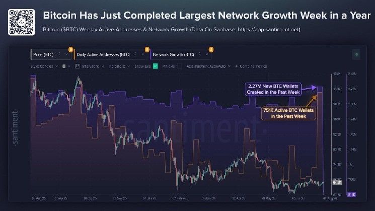 ارتفاع محافظ البيتكوين لأعلى مستوى منذ 2026 مع اتساع تداعيات اختراق كولدكارد