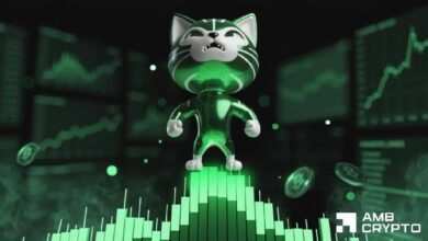 عملة Cash Cat الرقمية تسجل أعلى مستوى تاريخي جديد بارتفاع 120%، وRobinhood في دائرة الضوء