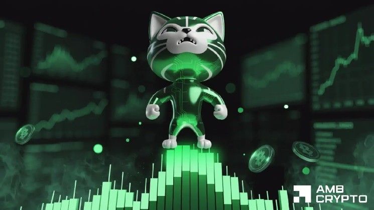 عملة Cash Cat الرقمية تسجل أعلى مستوى تاريخي جديد بارتفاع 120%، وRobinhood في دائرة الضوء