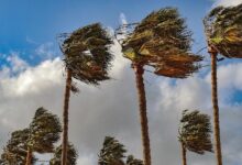 كتلة من الرياح المعاكسة تضغط على بيتكوين. XRP يتأرجح قرب حاجز الدولار