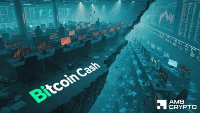 بيتكوين كاش يهبط 12% خلال أسبوع: هل يتمكن المضاربون على الصعود من إيقاف انزلاق BCH نحو 188 دولارًا؟
