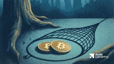 هل يتشكل أكبر فخ دببي لبيتكوين في هذه الدورة؟ حالة اختراق BTC نحو 75 ألف دولار