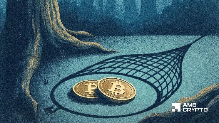 هل يتشكل أكبر فخ دببي لبيتكوين في هذه الدورة؟ حالة اختراق BTC نحو 75 ألف دولار
